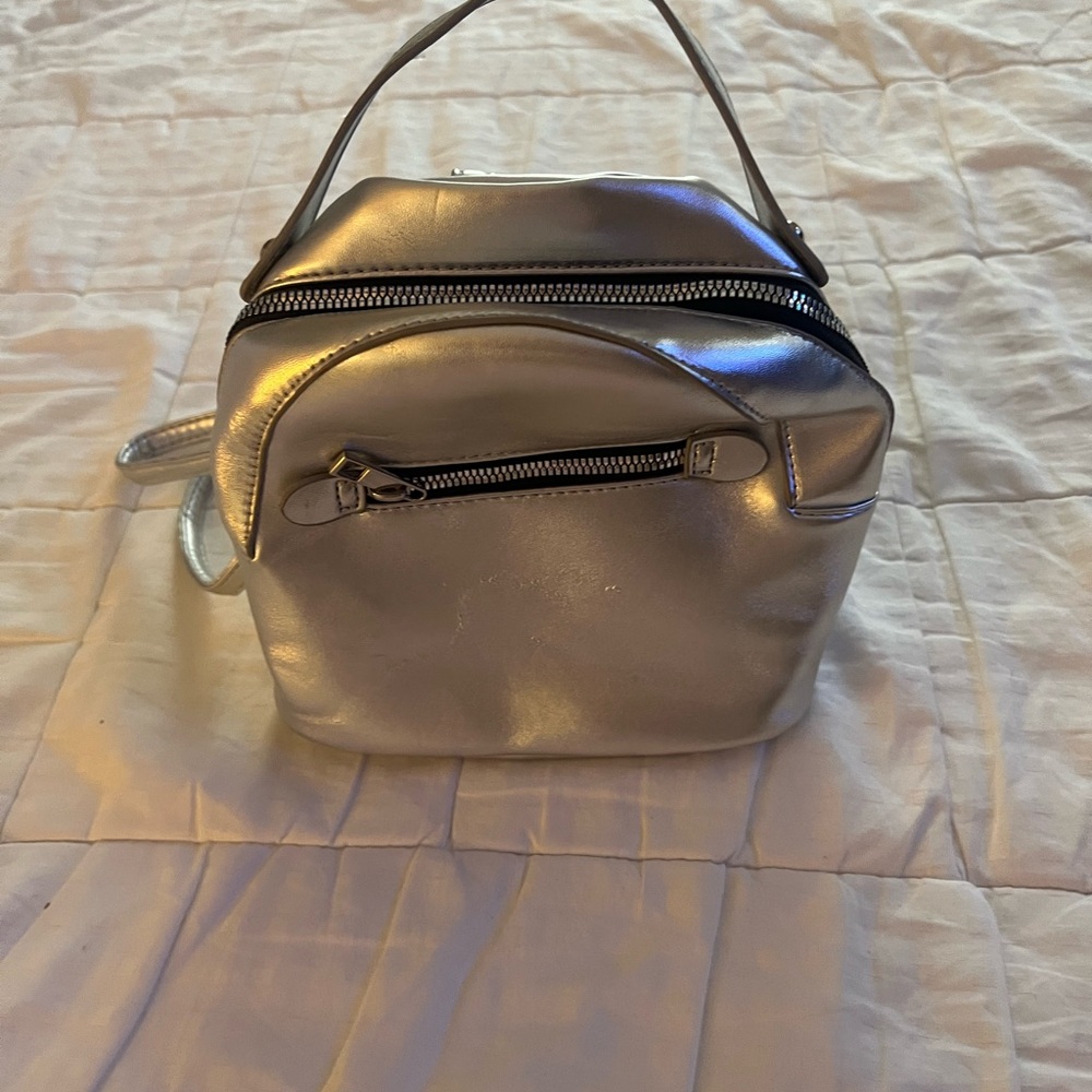 Silver Metallic Handbag